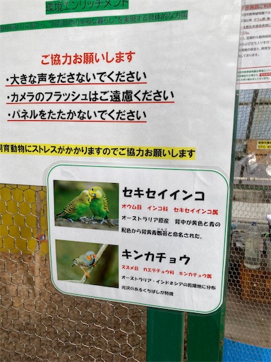 f:id:iriekotoko:20260224195626j:image