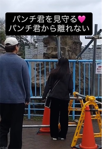 f:id:iriekotoko:20260412094333j:image f:id:iriekotoko:20260412094333j:image