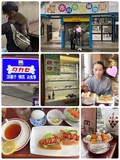 f:id:iriekotoko:20260412094926j:image f:id:iriekotoko:20260412094926j:image