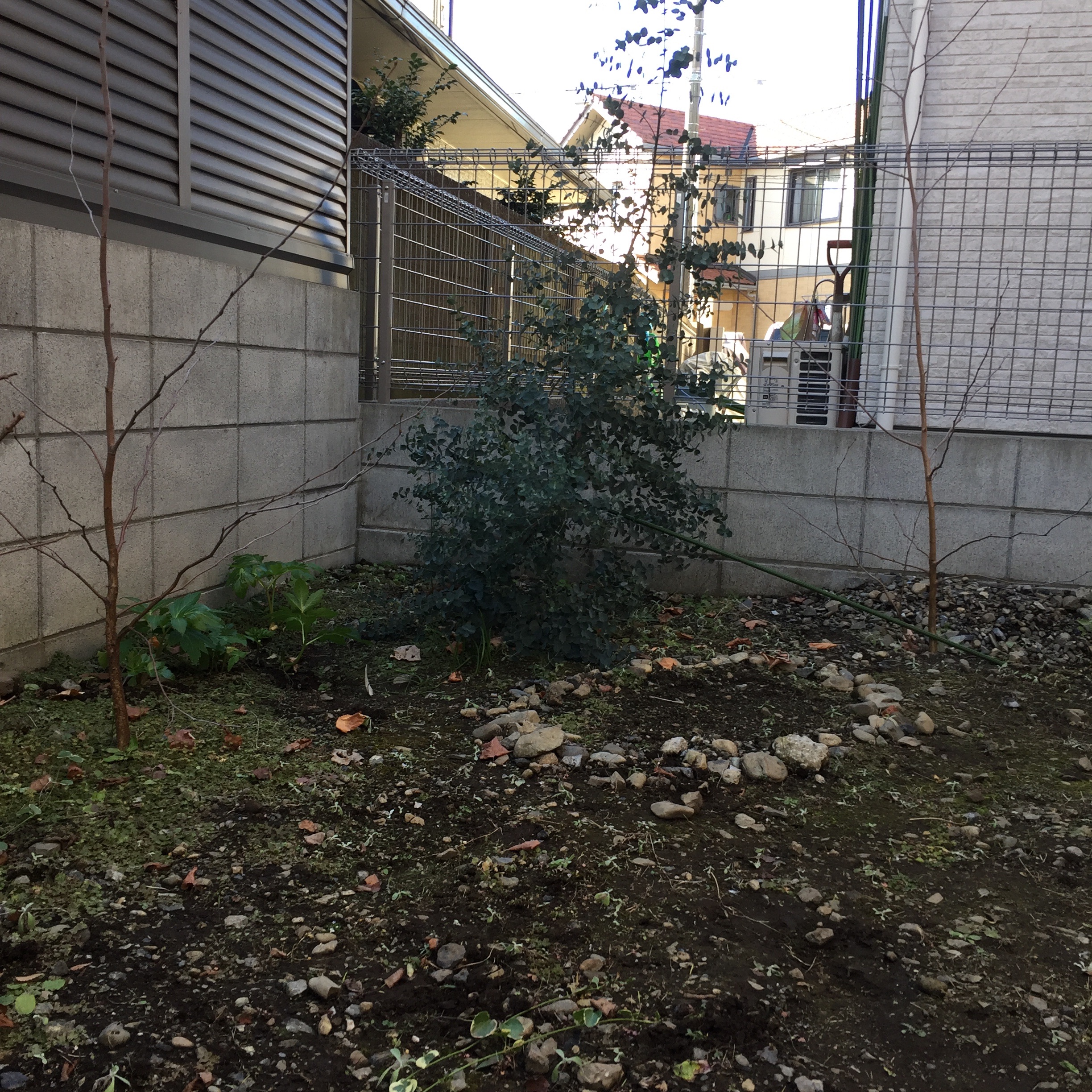 f:id:irinoouchi:20180110200746j:image f:id:irinoouchi:20180110200746j:image