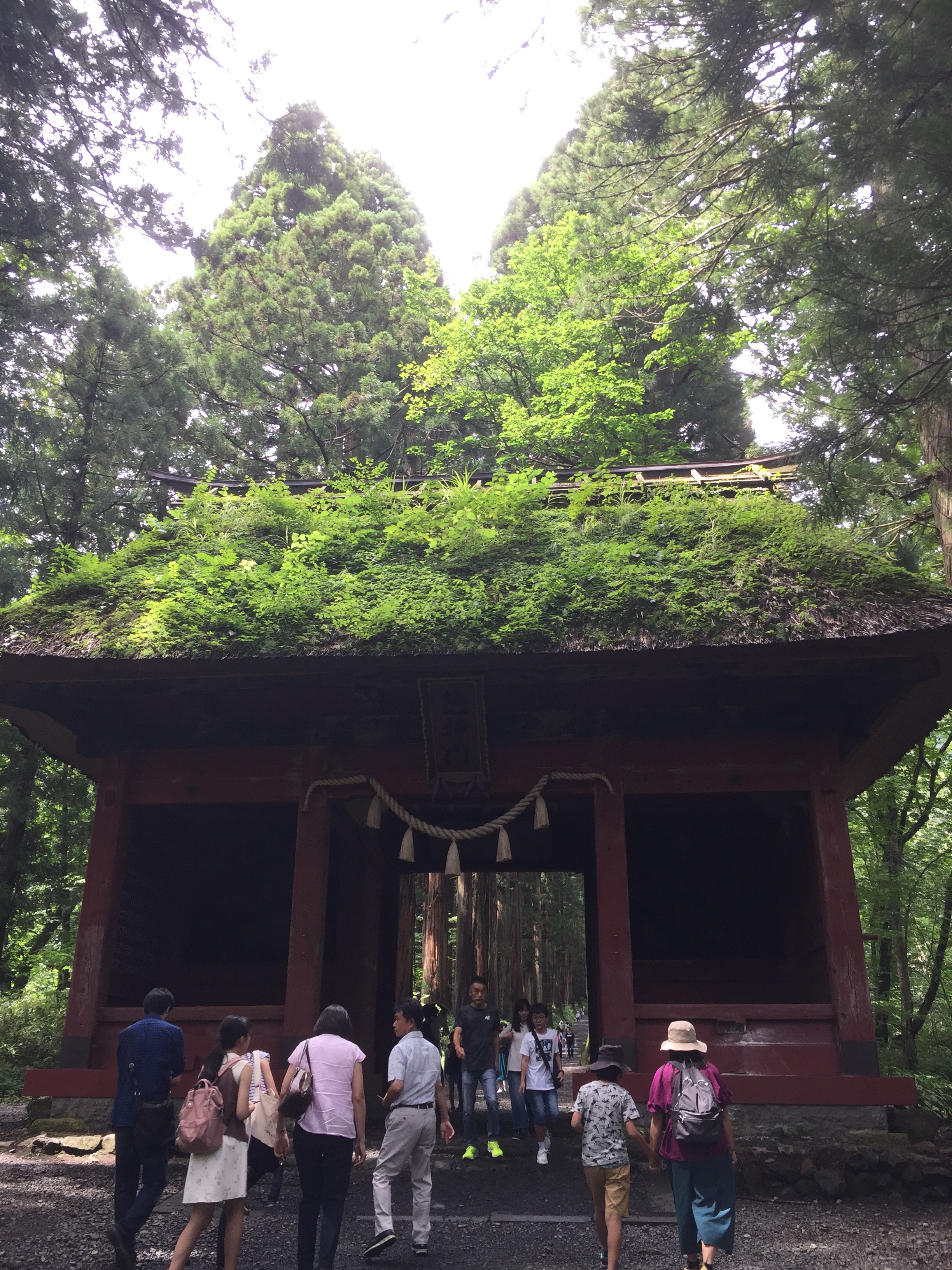 f:id:irinoouchi:20190828205401j:image f:id:irinoouchi:20190828205401j:image