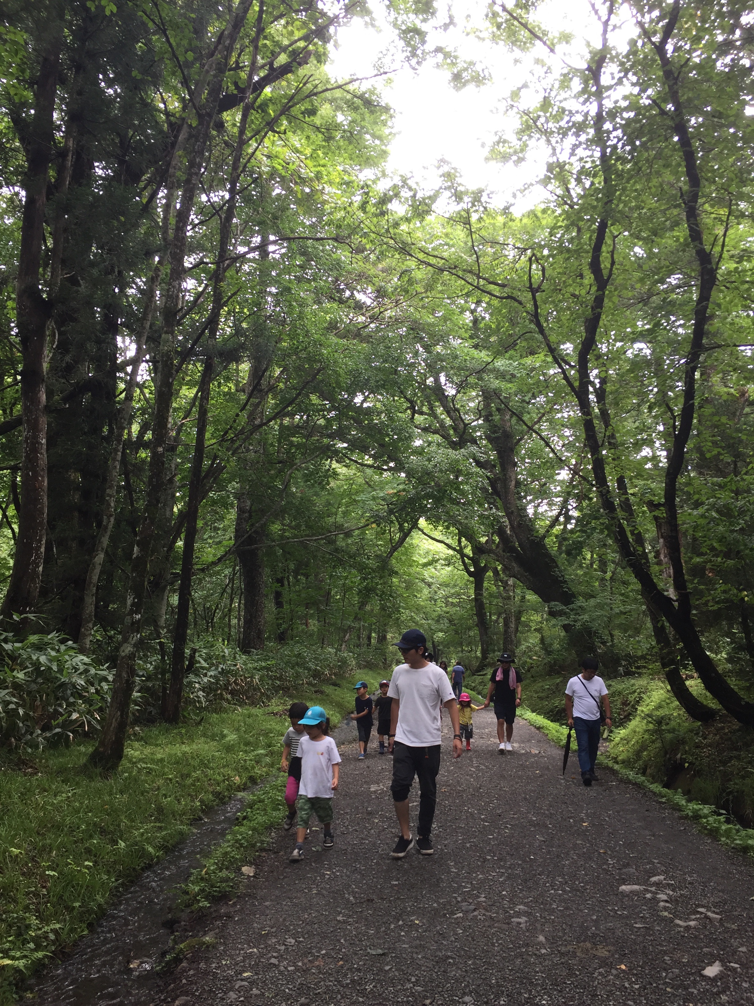 f:id:irinoouchi:20190828205725j:image f:id:irinoouchi:20190828205725j:image