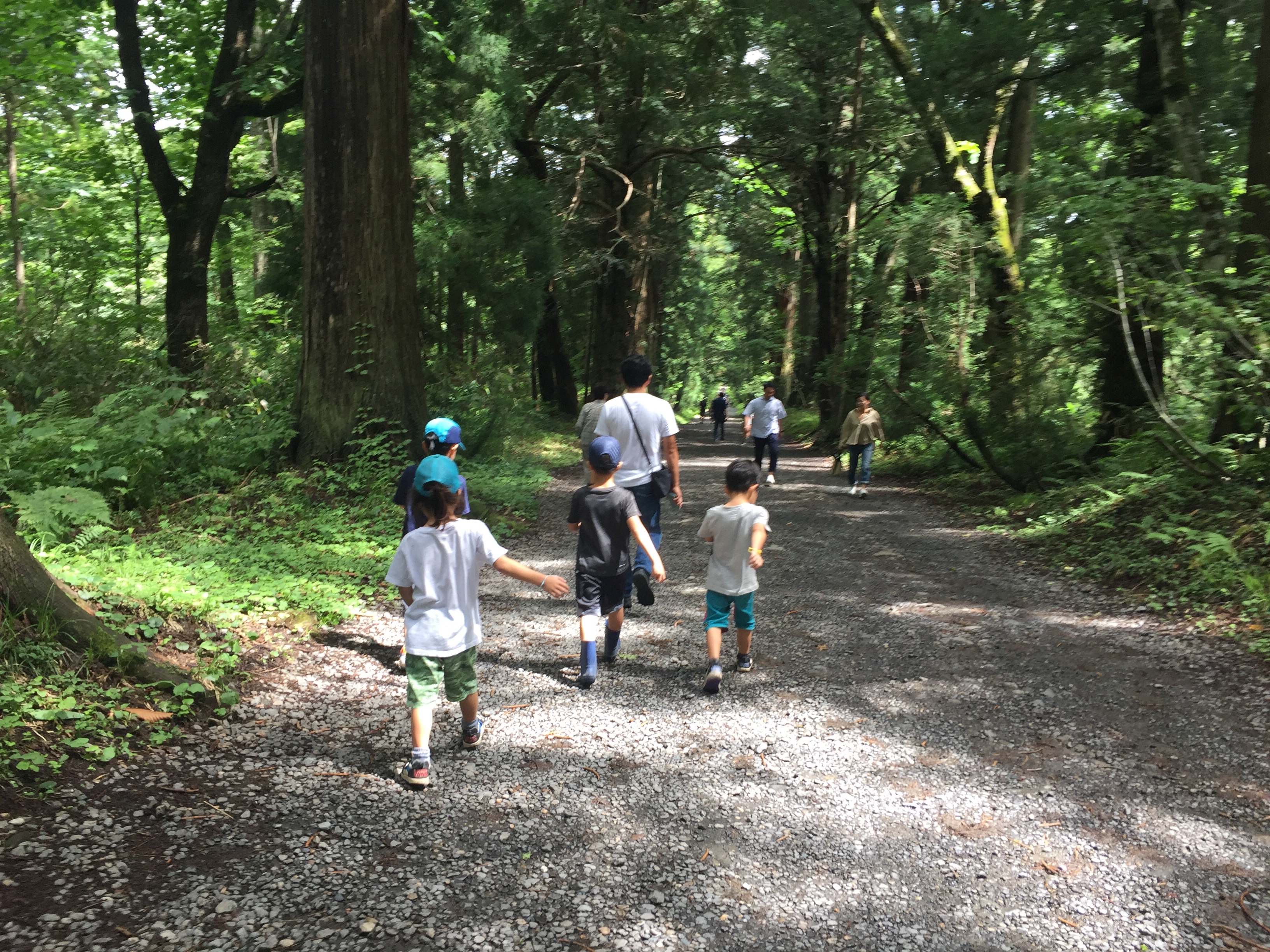 f:id:irinoouchi:20190828205734j:image f:id:irinoouchi:20190828205734j:image