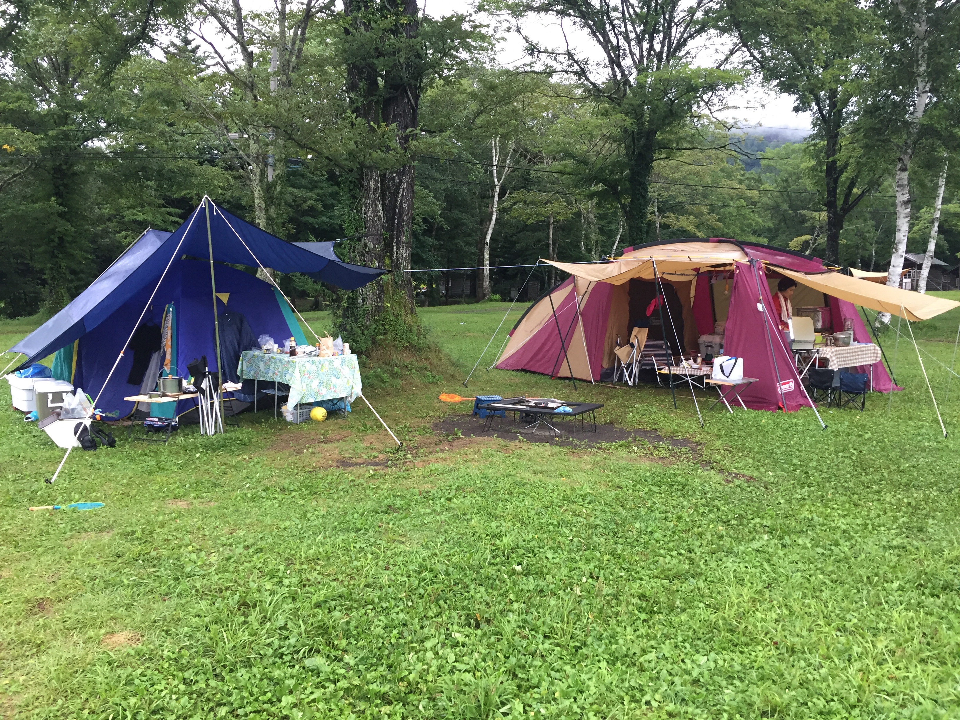 f:id:irinoouchi:20190828205744j:image f:id:irinoouchi:20190828205744j:image