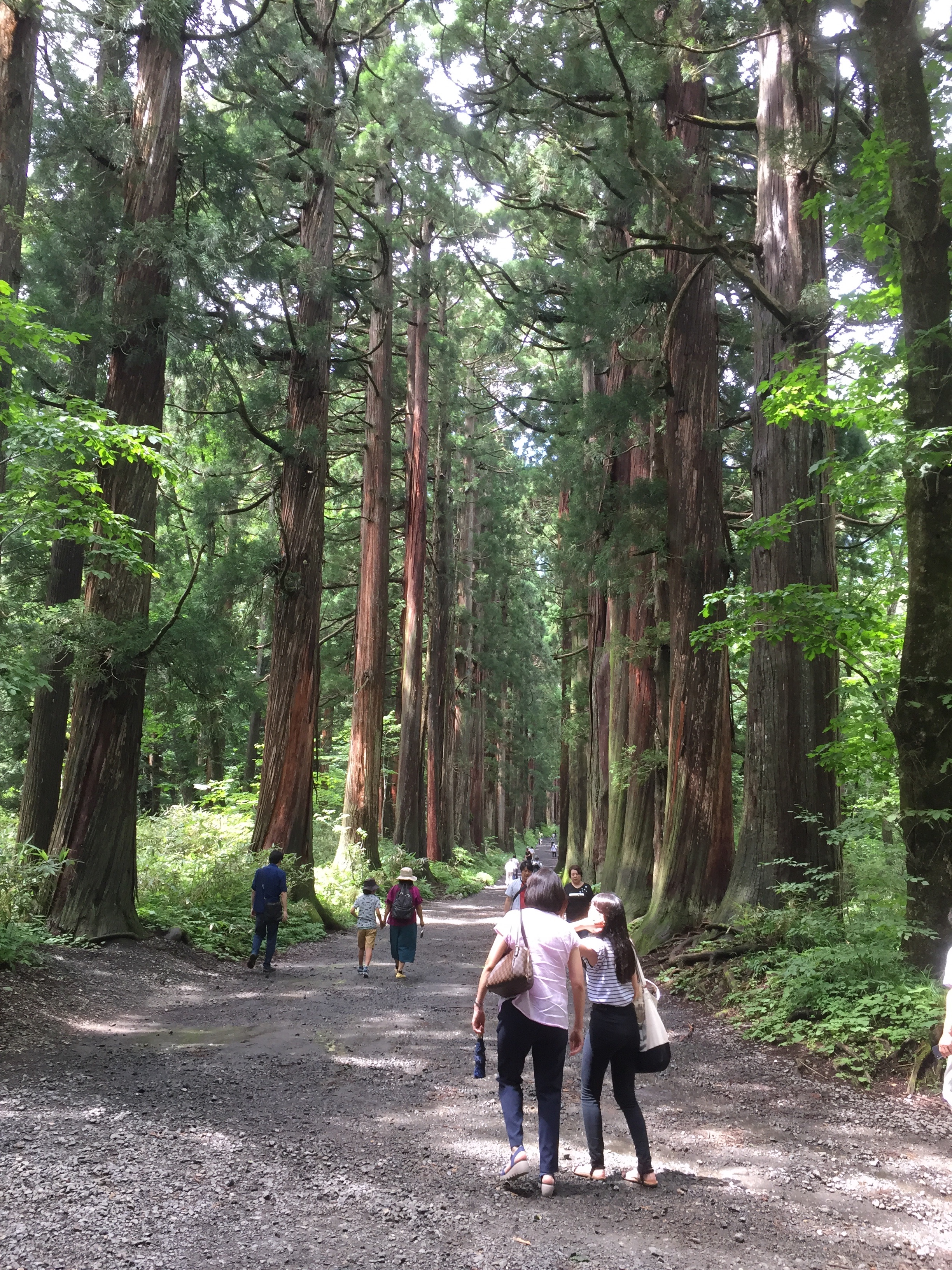 f:id:irinoouchi:20190828205920j:image f:id:irinoouchi:20190828205920j:image