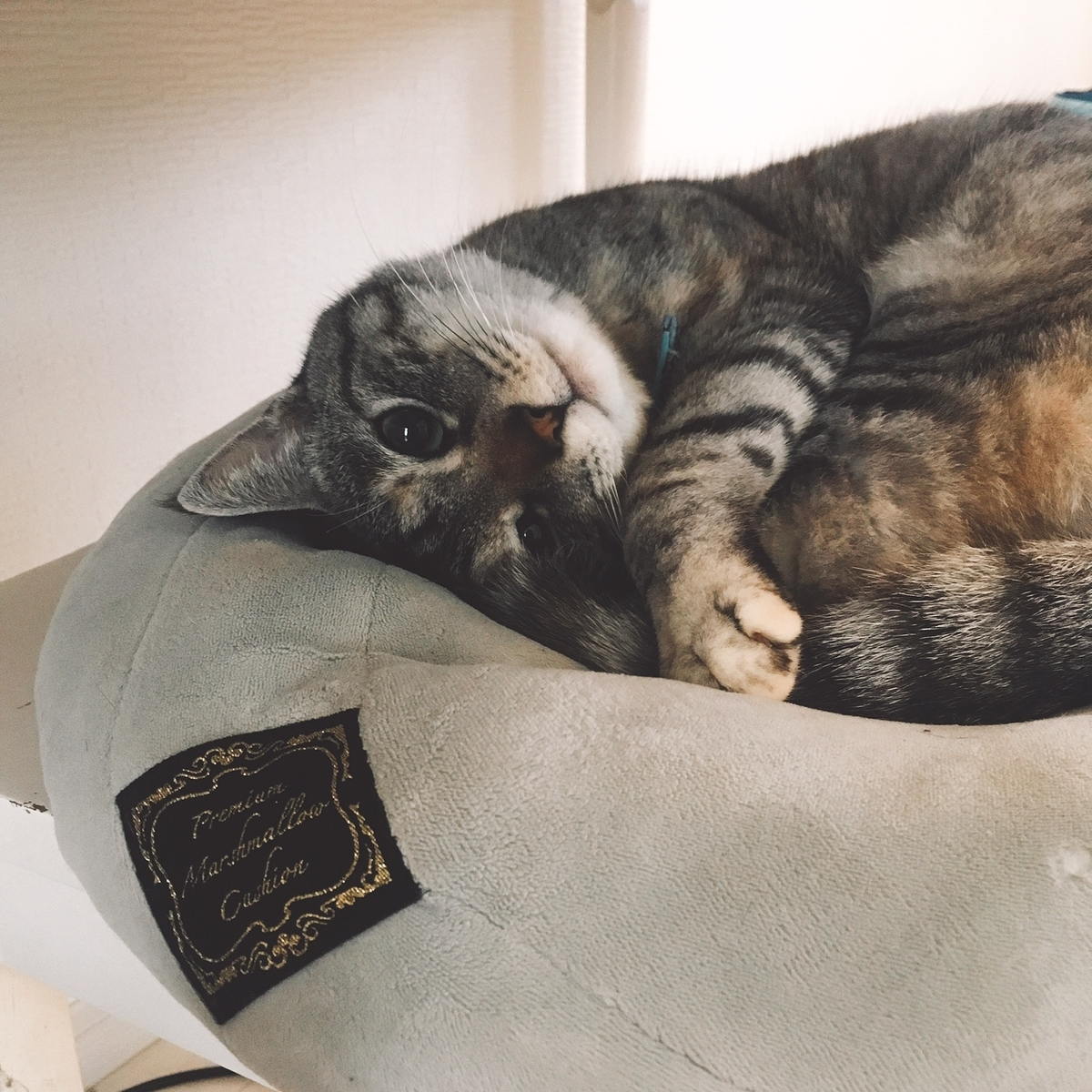 f:id:irip:20190428093104j:plain f:id:irip:20190428093104j:plain