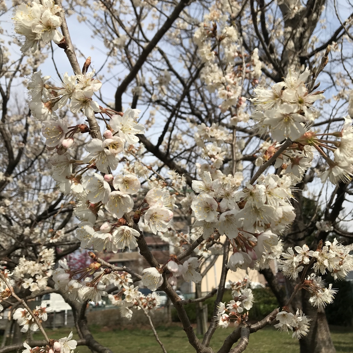f:id:irip:20210304174150j:plain