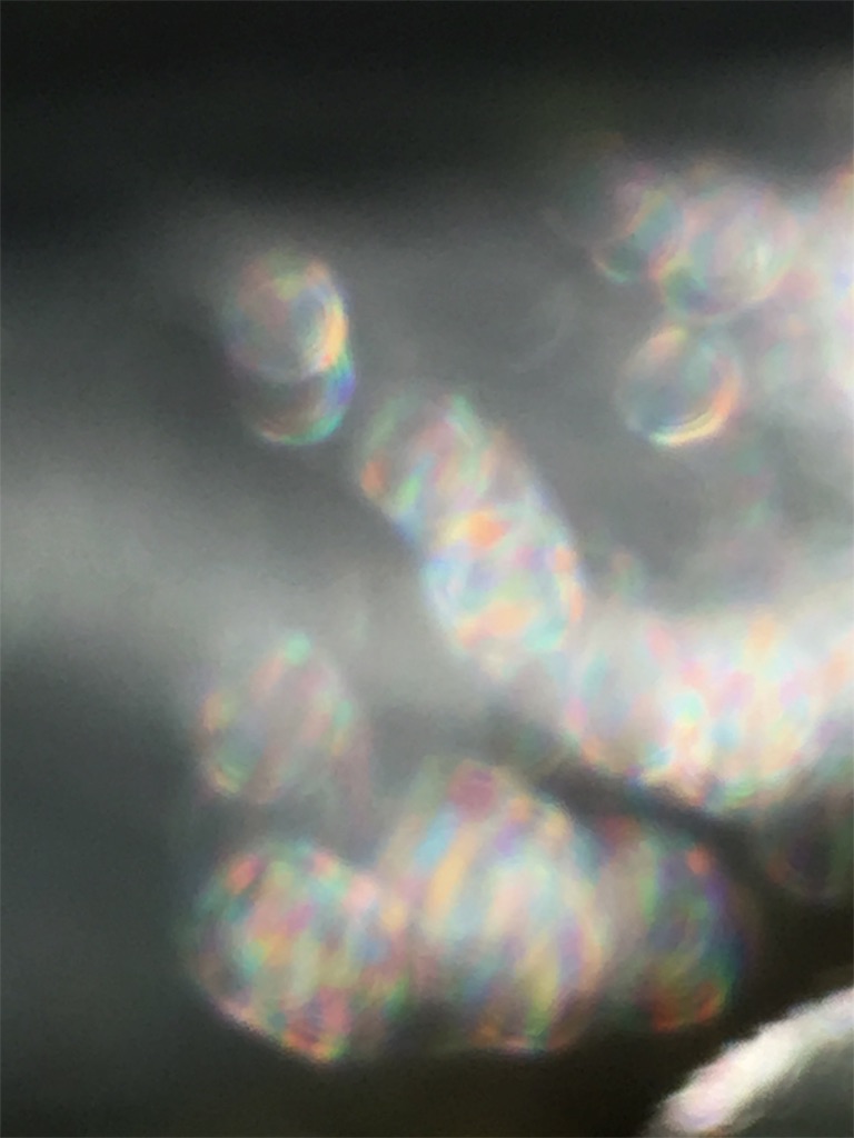 f:id:iris-crystal:20170819135838j:image f:id:iris-crystal:20170819135838j:image