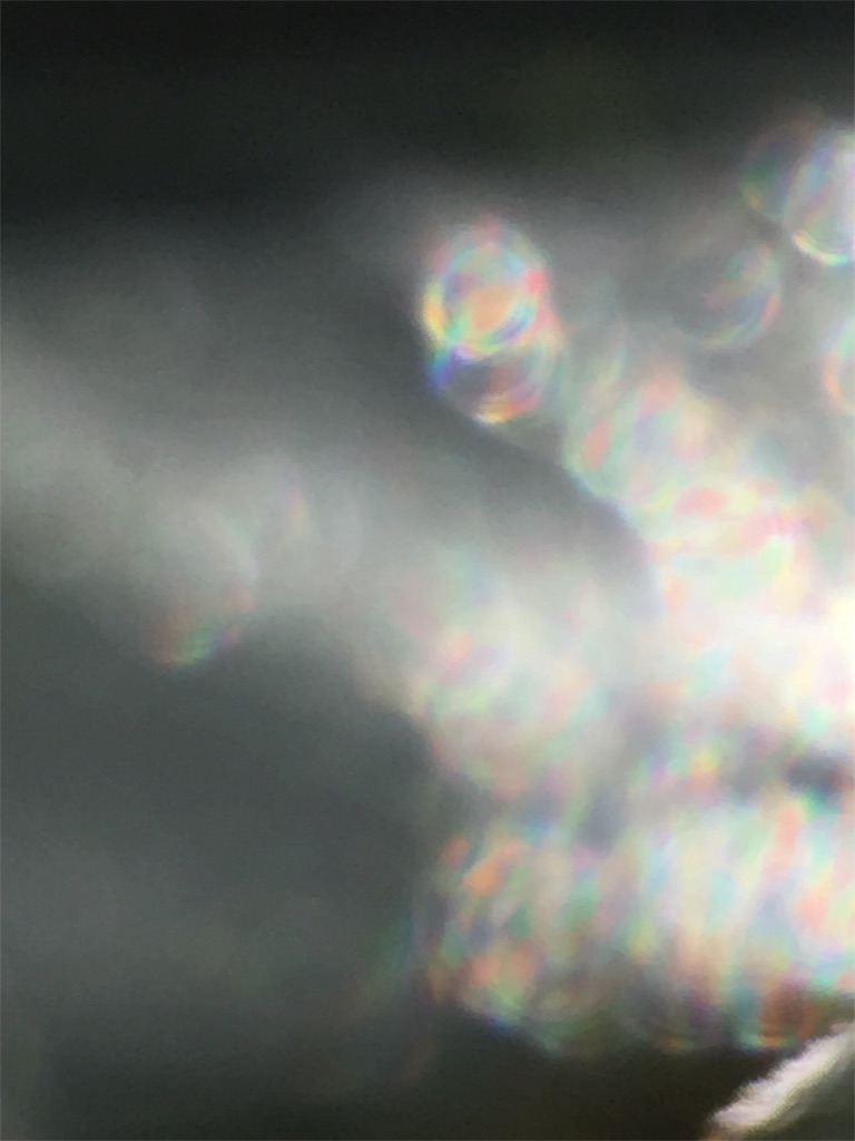 f:id:iris-crystal:20170819135857j:image f:id:iris-crystal:20170819135857j:image