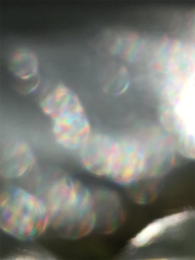 f:id:iris-crystal:20170819135913j:image f:id:iris-crystal:20170819135913j:image