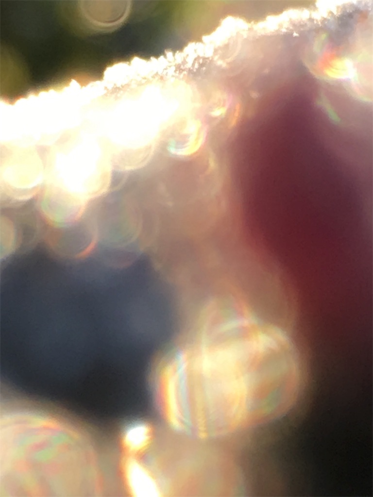f:id:iris-crystal:20170819143831j:image f:id:iris-crystal:20170819143831j:image