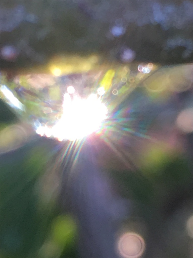 f:id:iris-crystal:20170819144224j:image f:id:iris-crystal:20170819144224j:image
