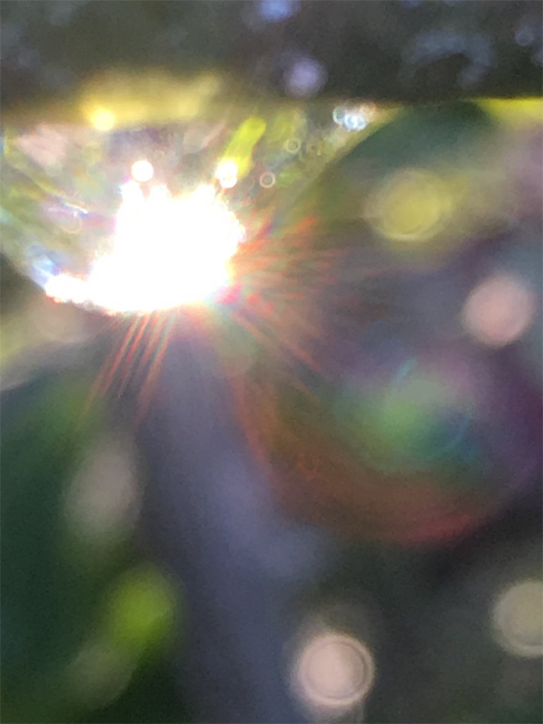 f:id:iris-crystal:20170819144502j:image f:id:iris-crystal:20170819144502j:image