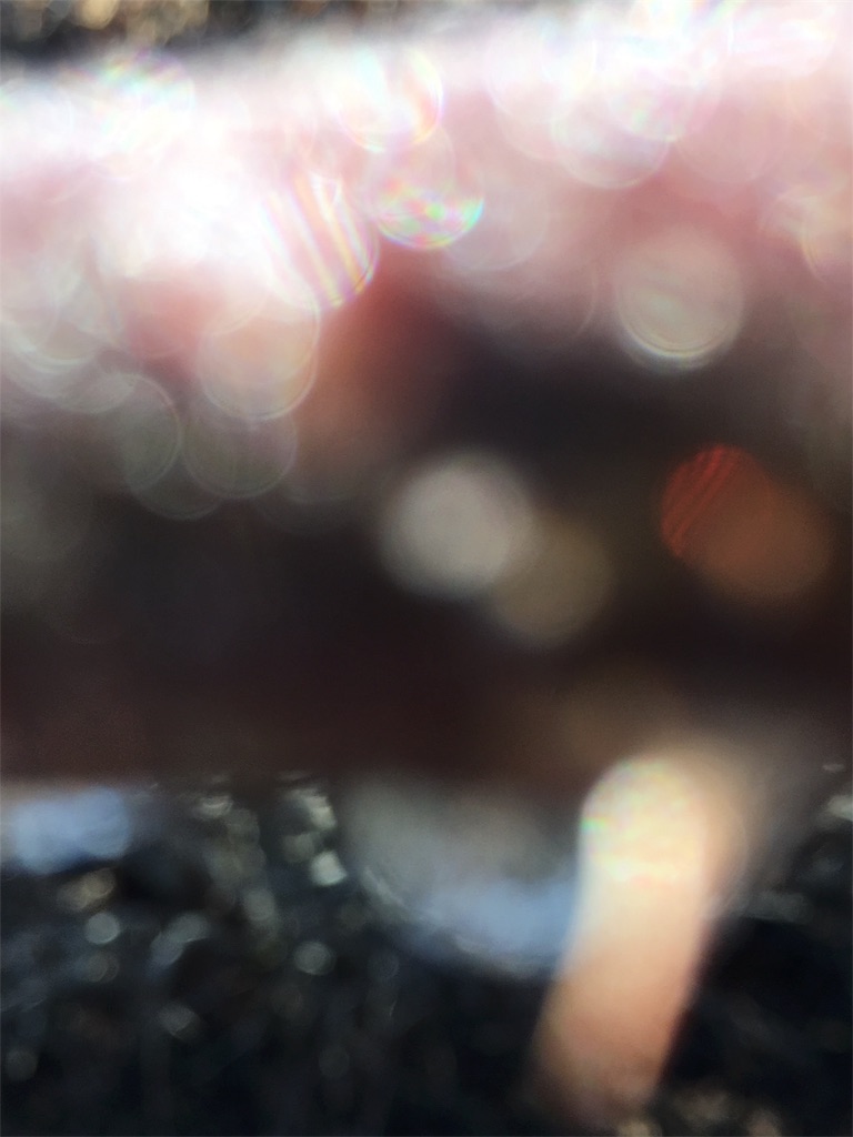 f:id:iris-crystal:20170819144613j:image f:id:iris-crystal:20170819144613j:image