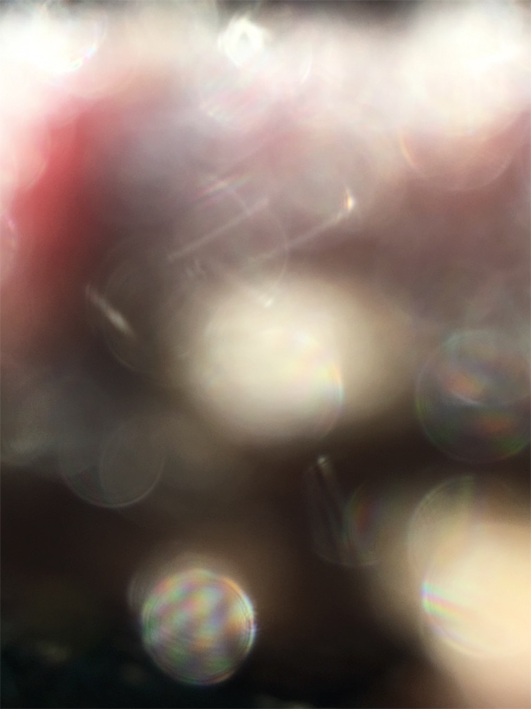 f:id:iris-crystal:20170819144630j:image f:id:iris-crystal:20170819144630j:image