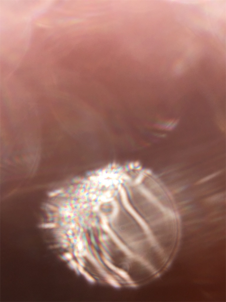 f:id:iris-crystal:20170819144707j:image f:id:iris-crystal:20170819144707j:image