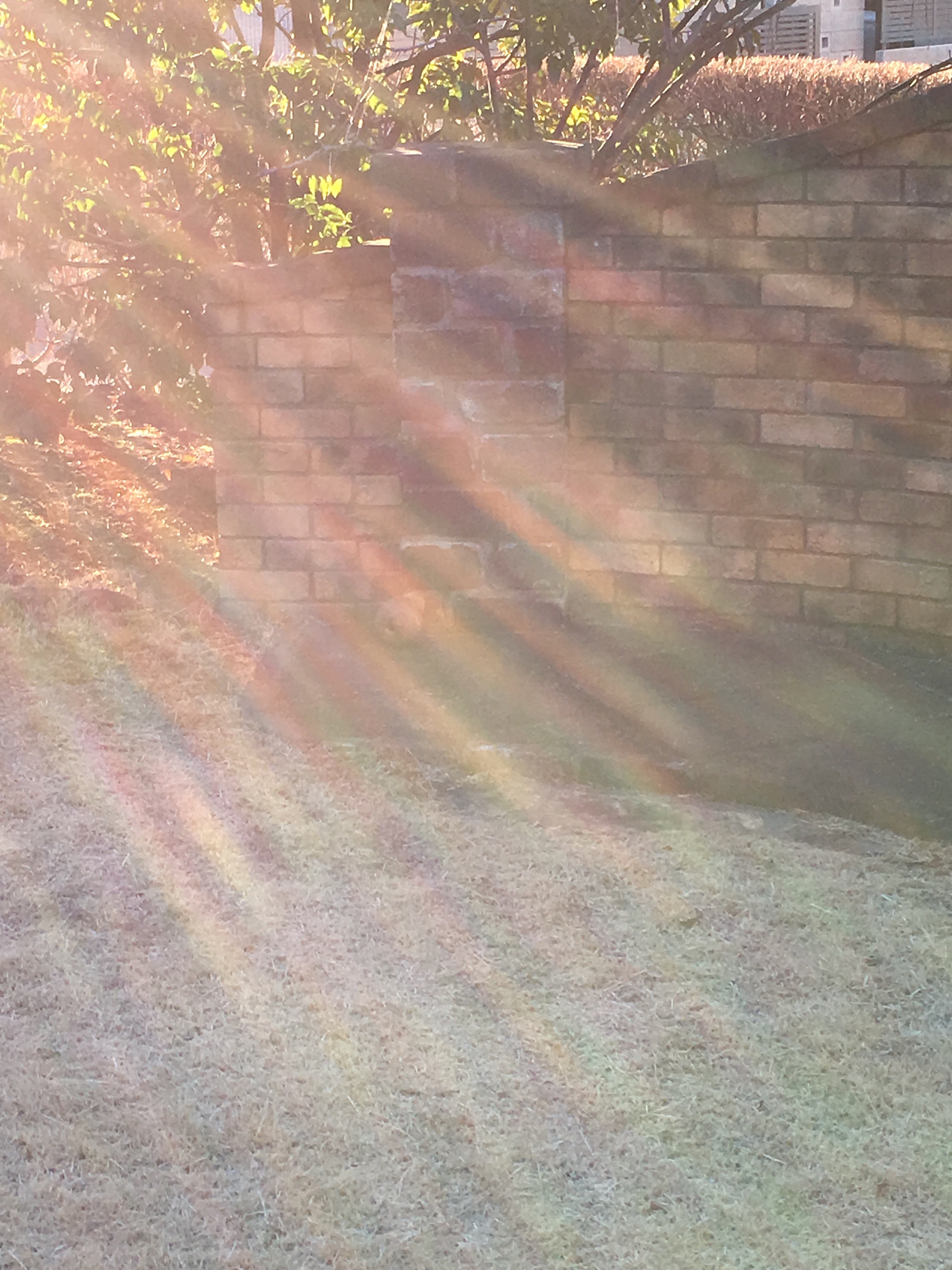 f:id:iris-crystal:20180827221301j:image f:id:iris-crystal:20180827221301j:image