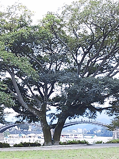 f:id:irishgreentea:20120929140715j:image:w640 f:id:irishgreentea:20120929140715j:image:w640