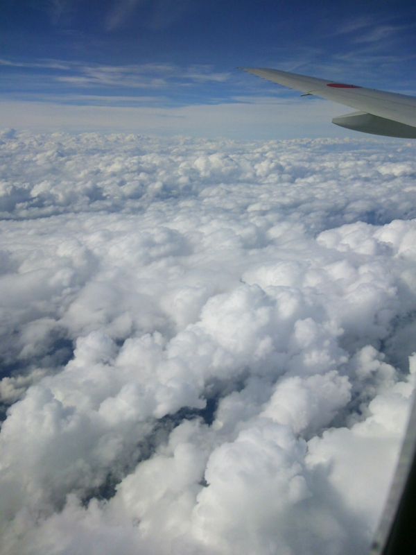 f:id:irishgreentea:20120930214413j:image:w640 f:id:irishgreentea:20120930214413j:image:w640