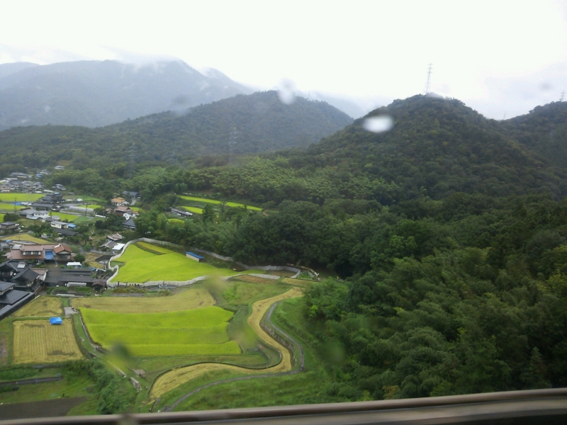 f:id:irishgreentea:20120930214731j:image:w640 f:id:irishgreentea:20120930214731j:image:w640