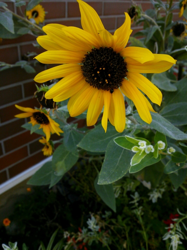 f:id:irishgreentea:20121012081210j:image:w640 f:id:irishgreentea:20121012081210j:image:w640