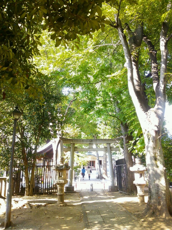 f:id:irishgreentea:20121017000512j:image:w640 f:id:irishgreentea:20121017000512j:image:w640