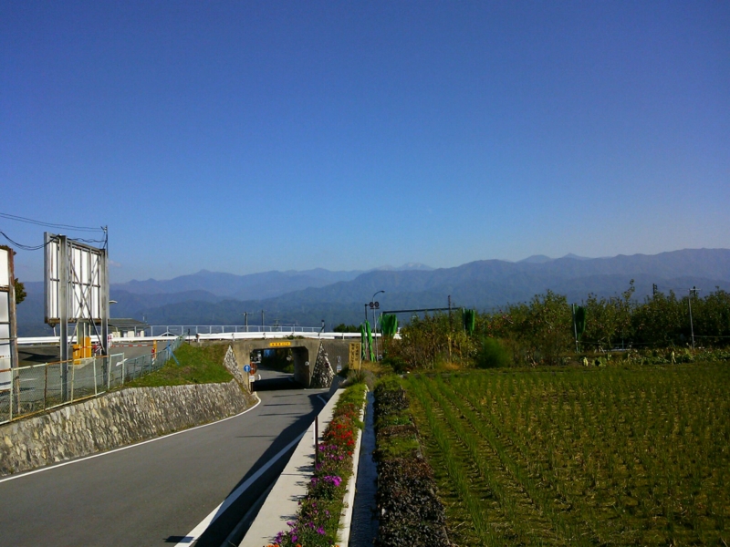f:id:irishgreentea:20121024001157j:image:w640 f:id:irishgreentea:20121024001157j:image:w640