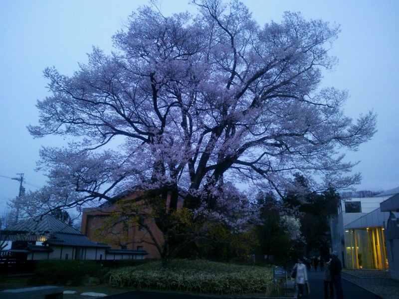 f:id:irishgreentea:20130404204107j:image:w640 f:id:irishgreentea:20130404204107j:image:w640
