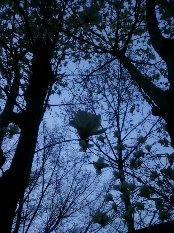 f:id:irishgreentea:20130404204141j:image:w640 f:id:irishgreentea:20130404204141j:image:w640