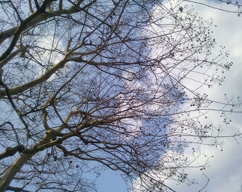 f:id:irishgreentea:20130416001142j:image:w640 f:id:irishgreentea:20130416001142j:image:w640