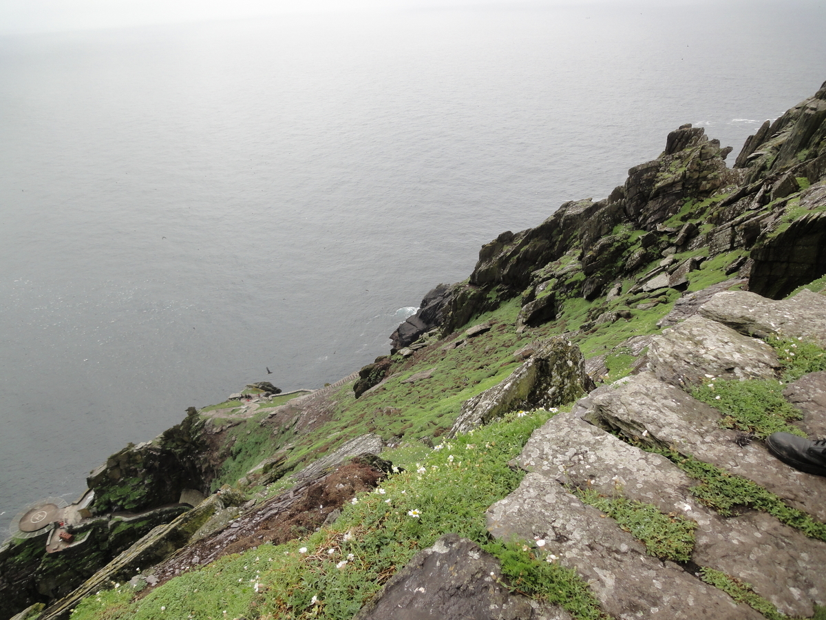 f:id:irishmist:20190328132522j:plain f:id:irishmist:20190328132522j:plain