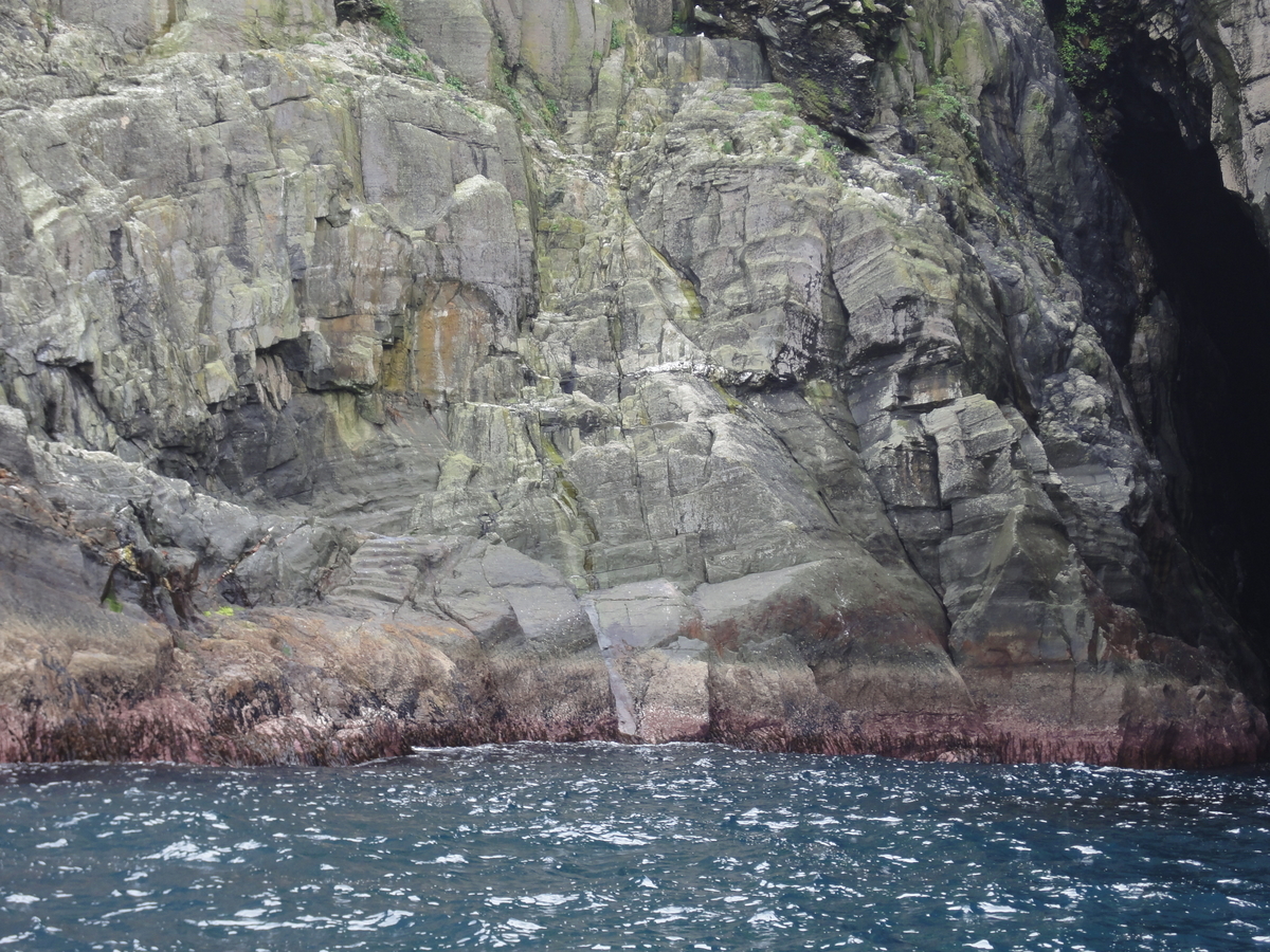 f:id:irishmist:20190328133522j:plain f:id:irishmist:20190328133522j:plain