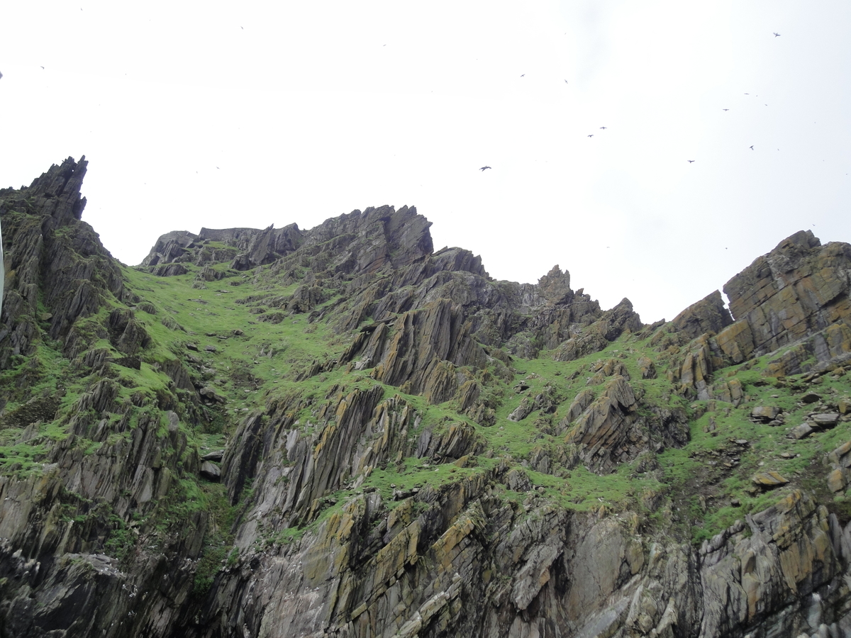f:id:irishmist:20190328133640j:plain f:id:irishmist:20190328133640j:plain