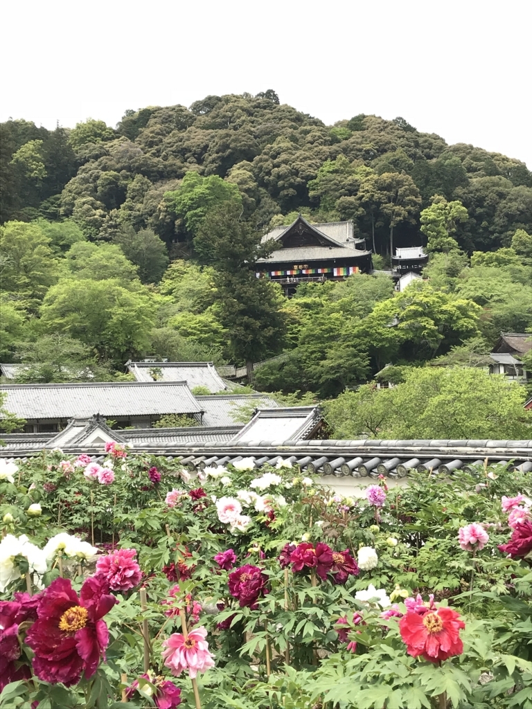 f:id:iristyle:20180428014235j:plain f:id:iristyle:20180428014235j:plain