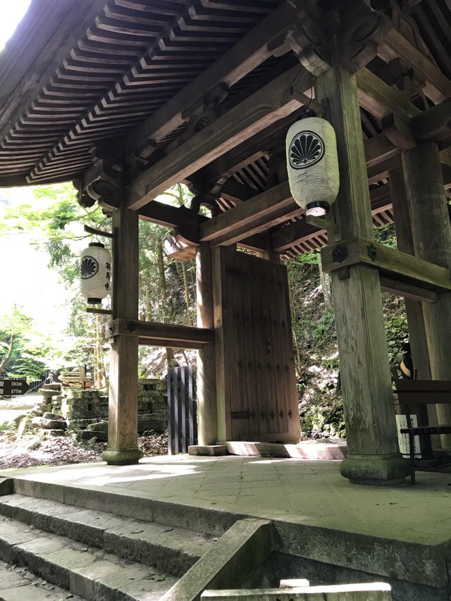 f:id:iristyle:20180514015254j:plain f:id:iristyle:20180514015254j:plain