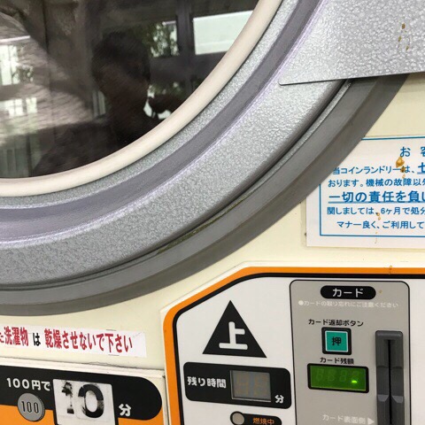 f:id:iristyle:20180520095404j:plain f:id:iristyle:20180520095404j:plain