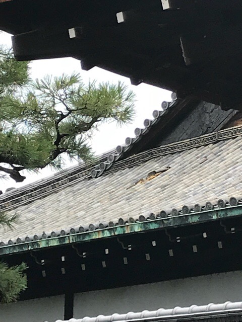 f:id:iristyle:20180915005453j:plain f:id:iristyle:20180915005453j:plain