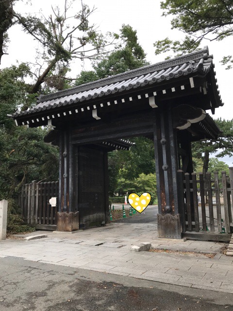 f:id:iristyle:20180915013248j:plain f:id:iristyle:20180915013248j:plain