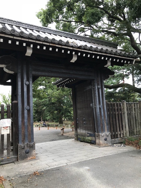 f:id:iristyle:20180915013504j:plain f:id:iristyle:20180915013504j:plain