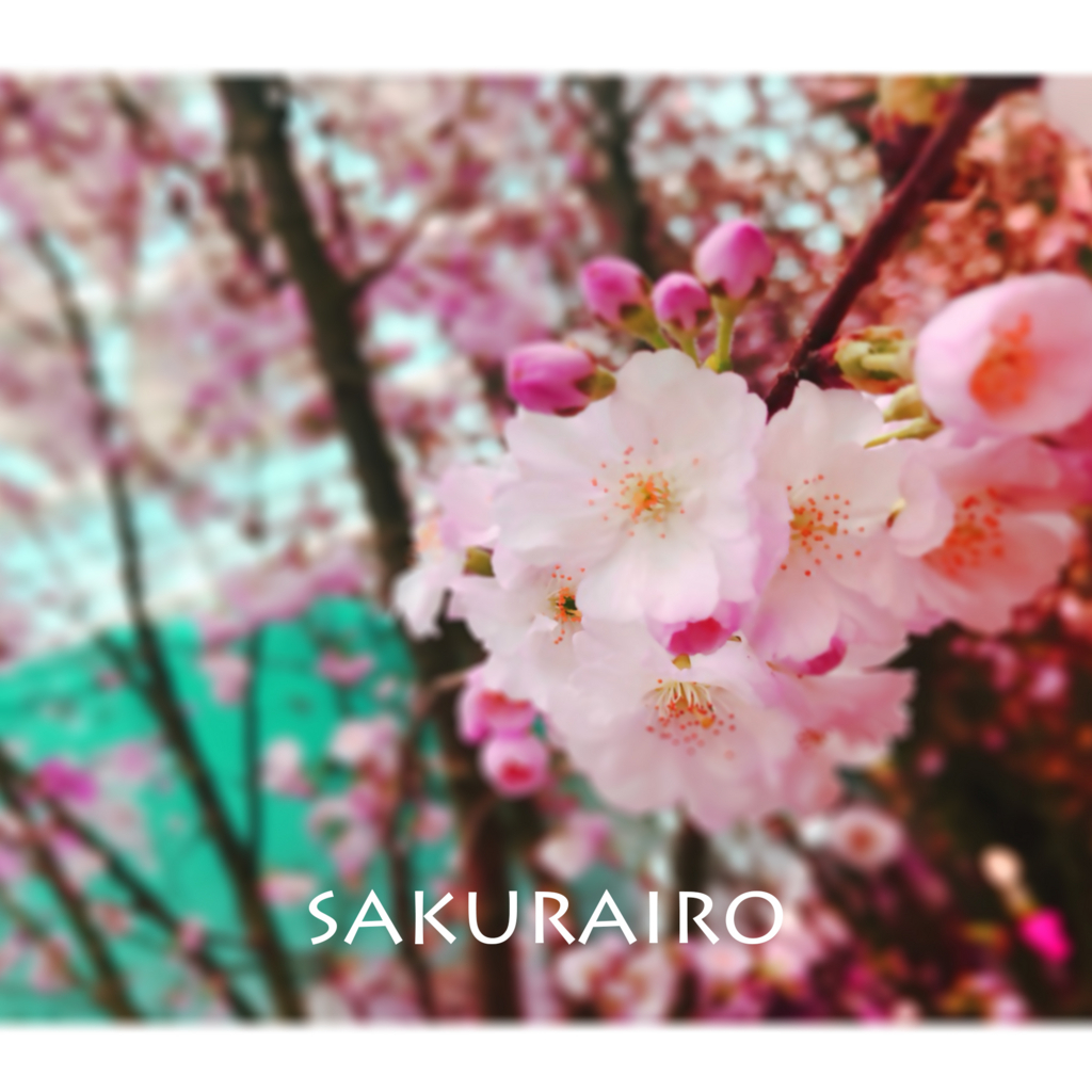 f:id:iro7:20180607080834j:plain