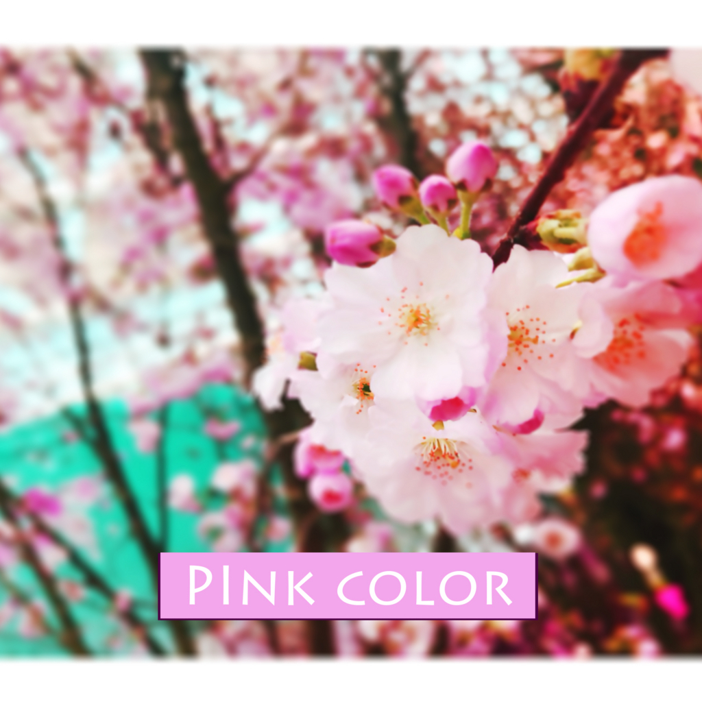 f:id:iro7:20180607081059j:plain