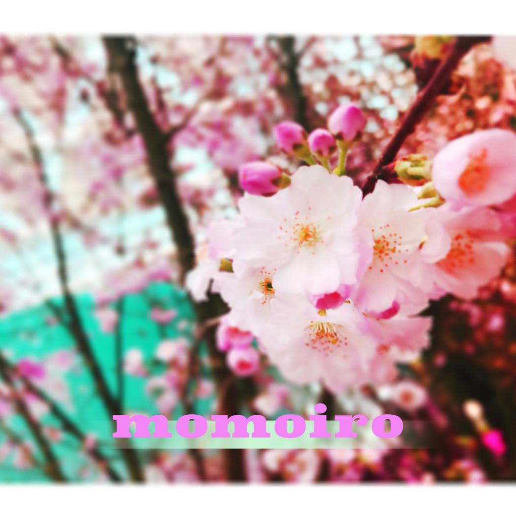 f:id:iro7:20180607081712j:plain