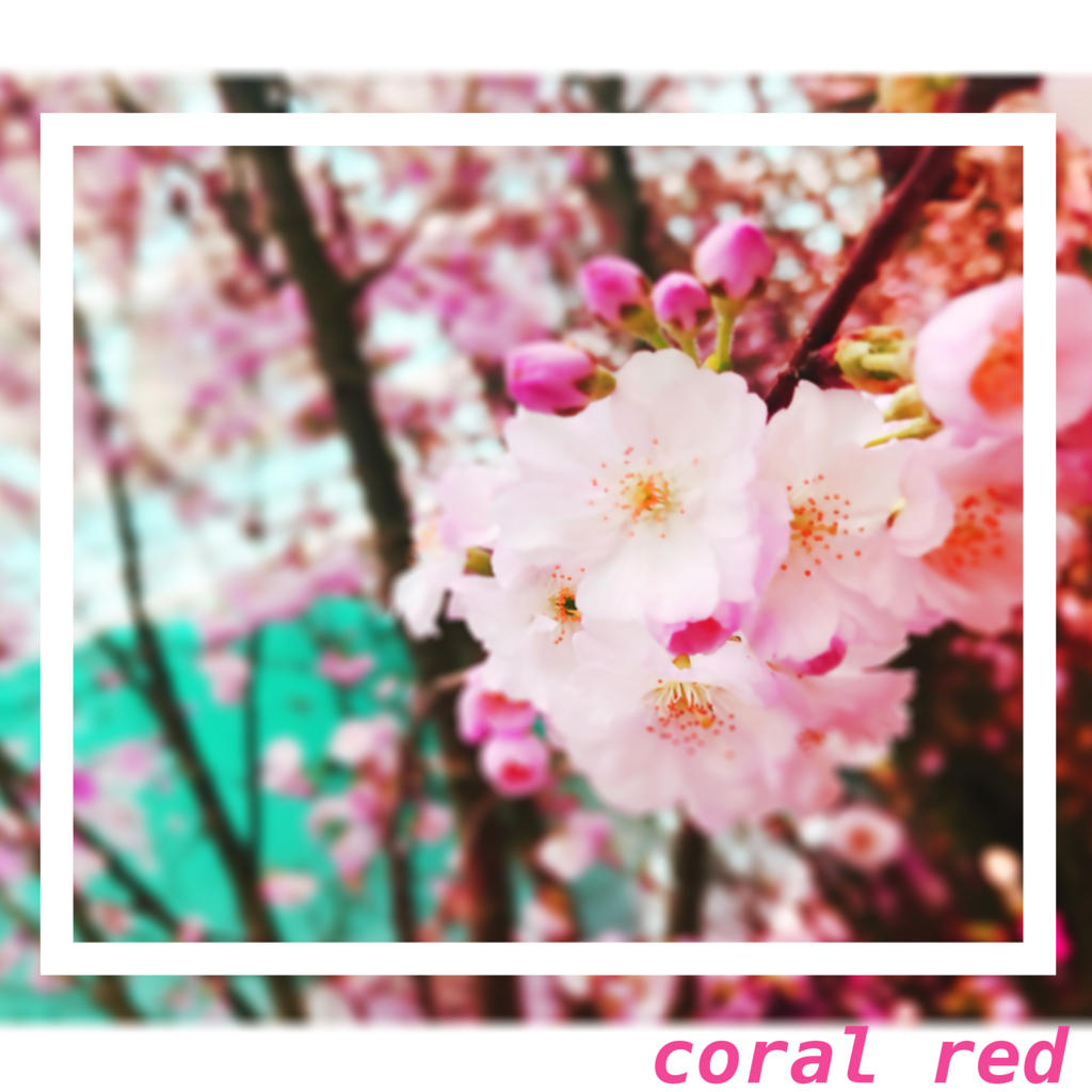 f:id:iro7:20180607081738j:plain