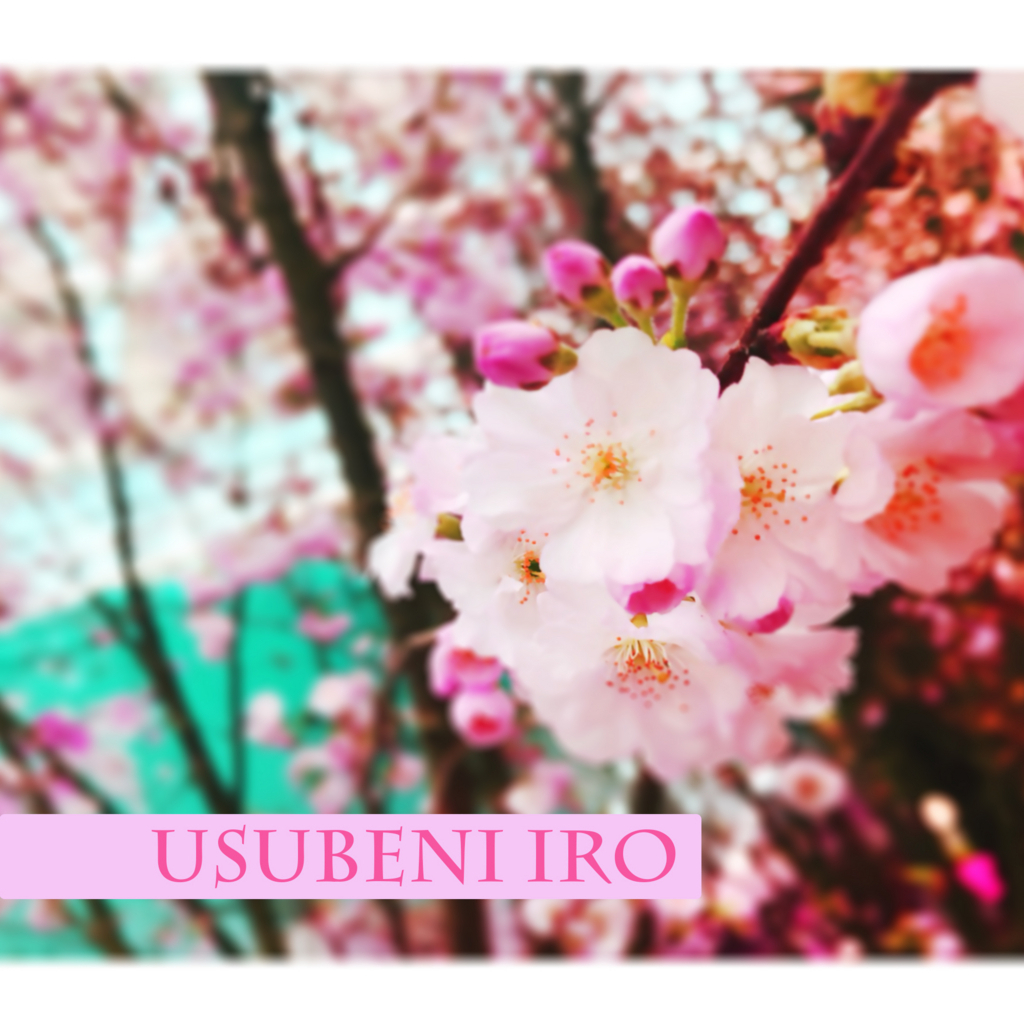 f:id:iro7:20180607081819j:plain