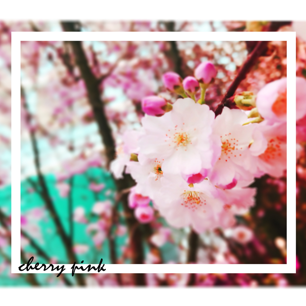 f:id:iro7:20180607081850j:plain