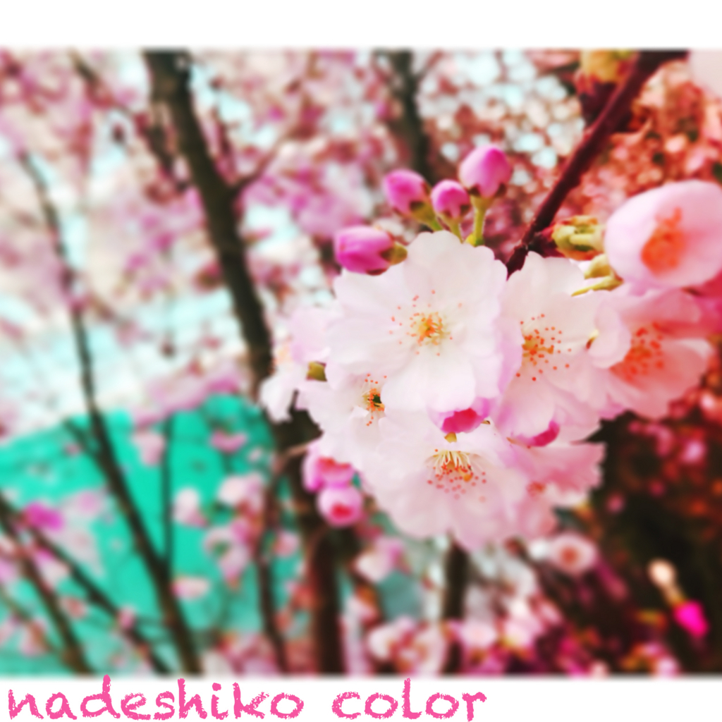 f:id:iro7:20180607081914j:plain