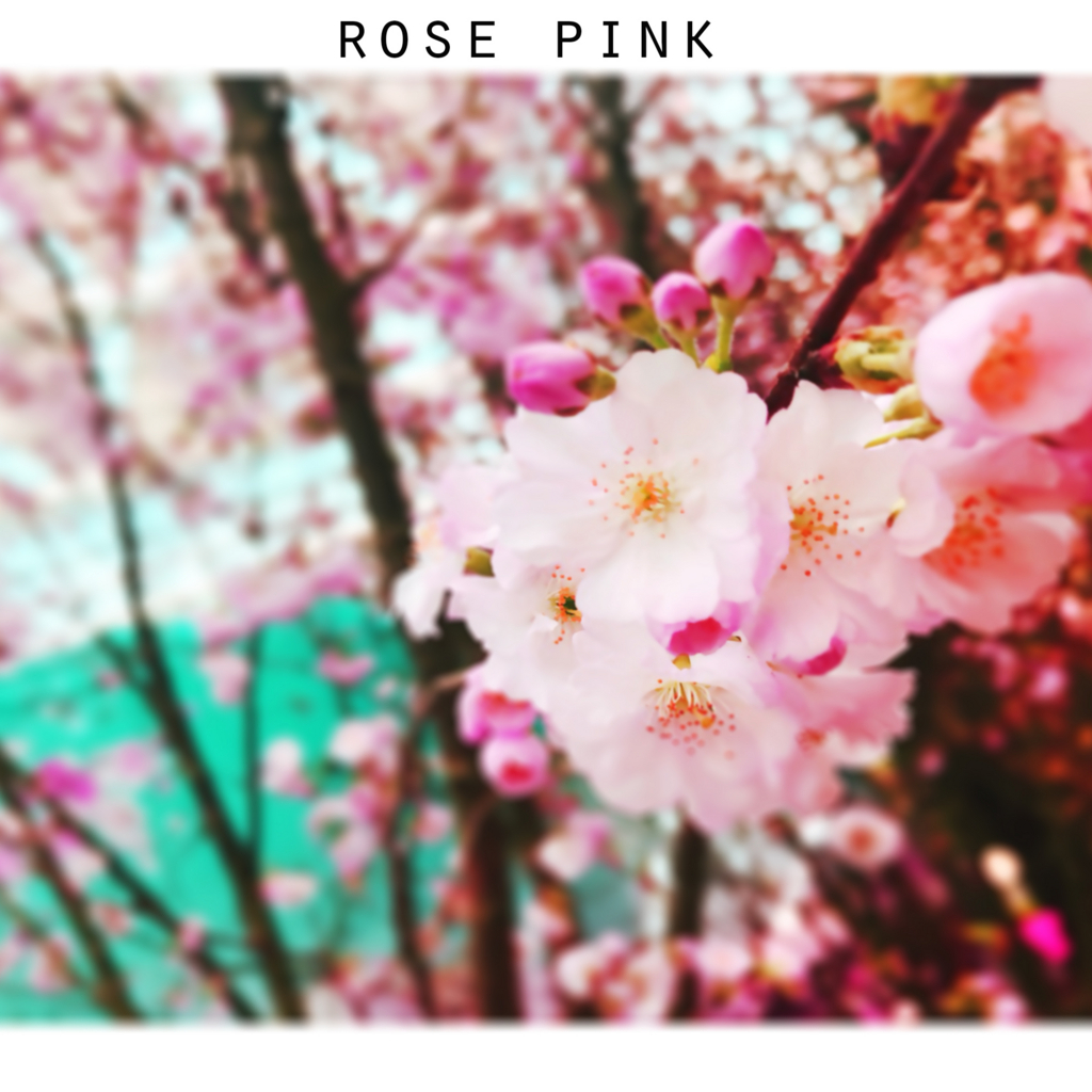 f:id:iro7:20180607081947j:plain