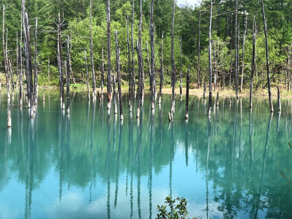 f:id:irockclock:20230601074811j:image