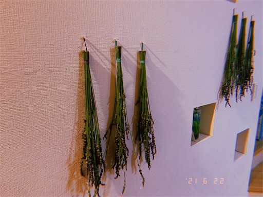 f:id:irodori-hasy:20210622214052j:image