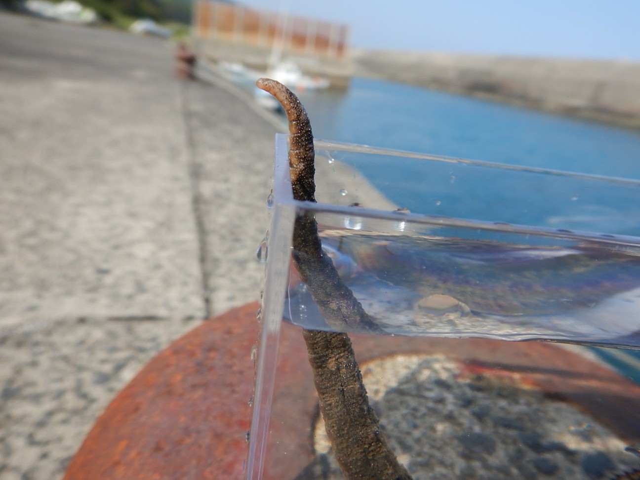 f:id:irodori89:20220501113039j:image f:id:irodori89:20220501113039j:image